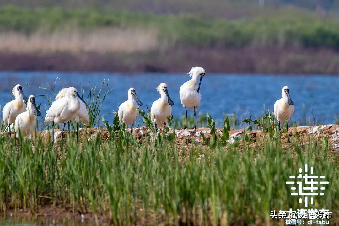 绿水青山不负人！大连，更好看了！