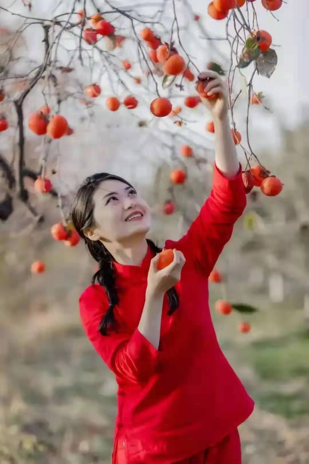 刘加林：昌江仲冬宅家避疫|邹晓华：气温骤降|金登仁：釆柿春夜