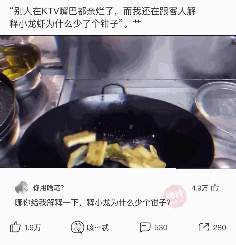 狗子看猫咪很轻松地就上去了，也学着来，结果把猫咪的窝给砸了
