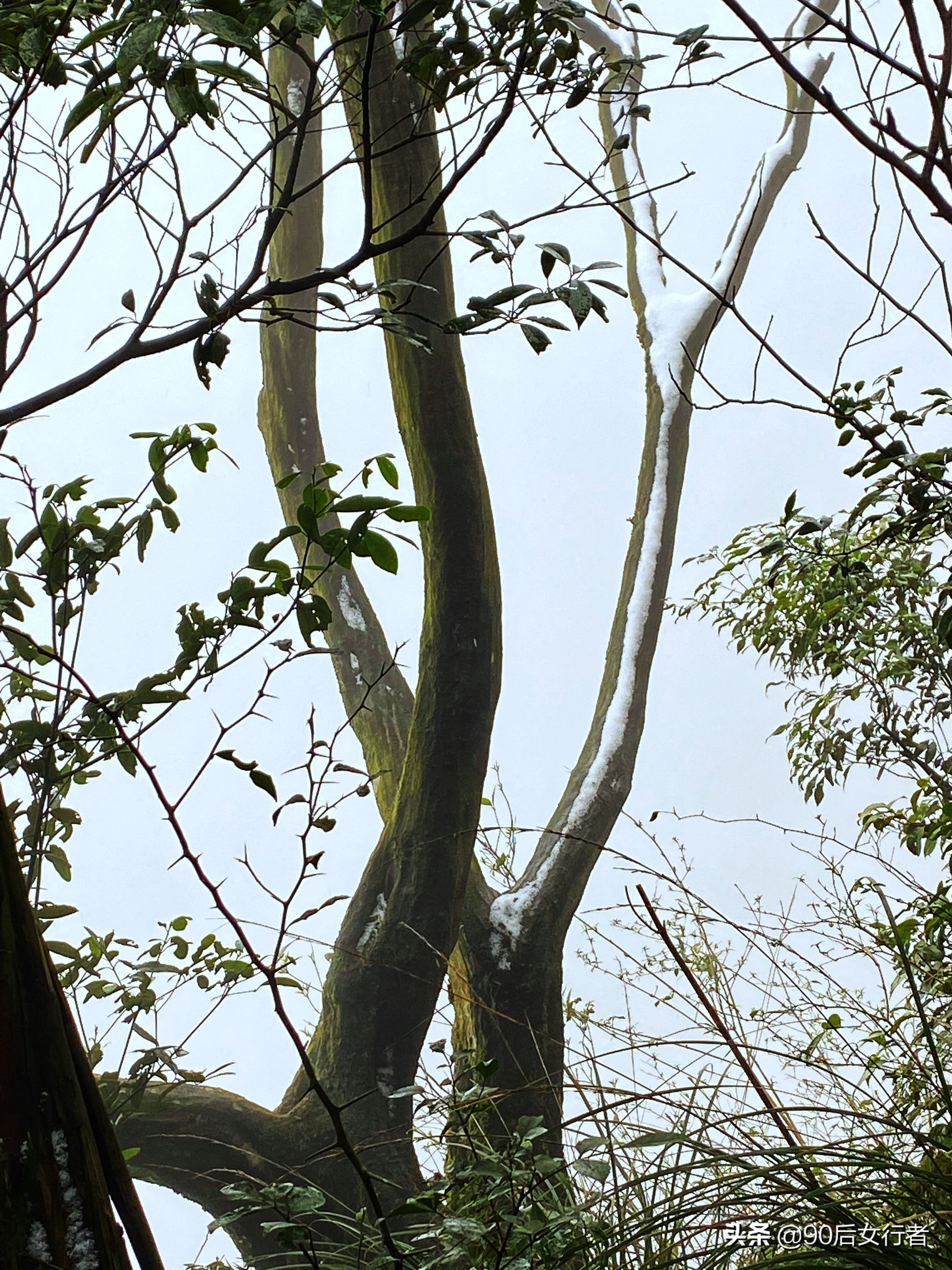 下雨天去拜访师傅合适吗,雨天去青城山