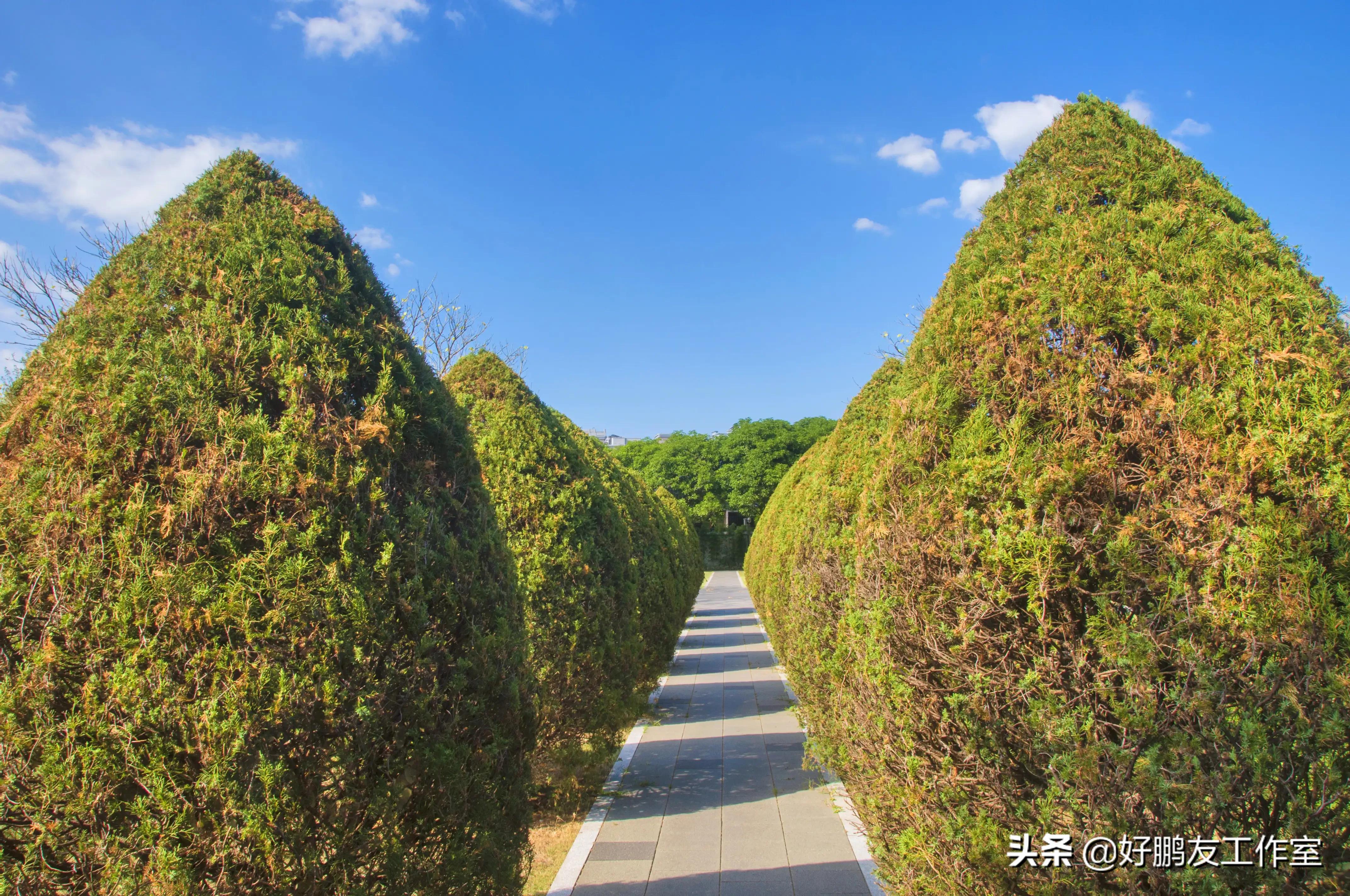 福州温泉公园的特点,福州温泉公园免费温泉