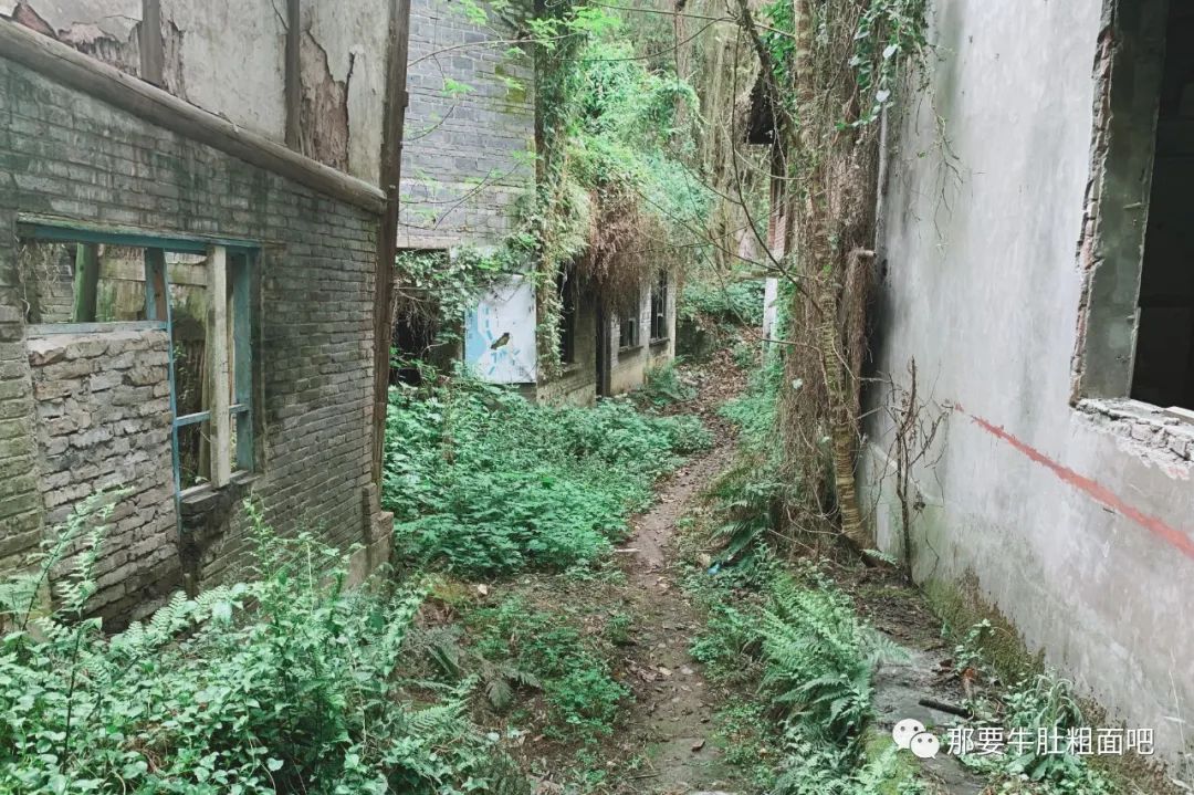 自贡古城回忆,内江城市记忆