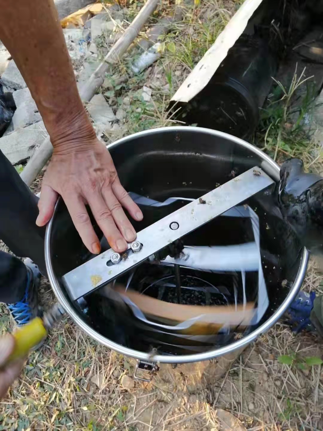 新手养蜂无蜂王怎么办,新手养蜂不被蜇