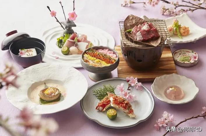 春天喝这些花最养人赶紧喝起来吧,春季吃什么花对身体有好处