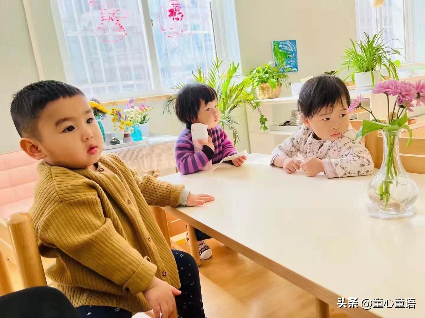 蒙台梭利0-4岁语言教学视频,童心童语视频大全