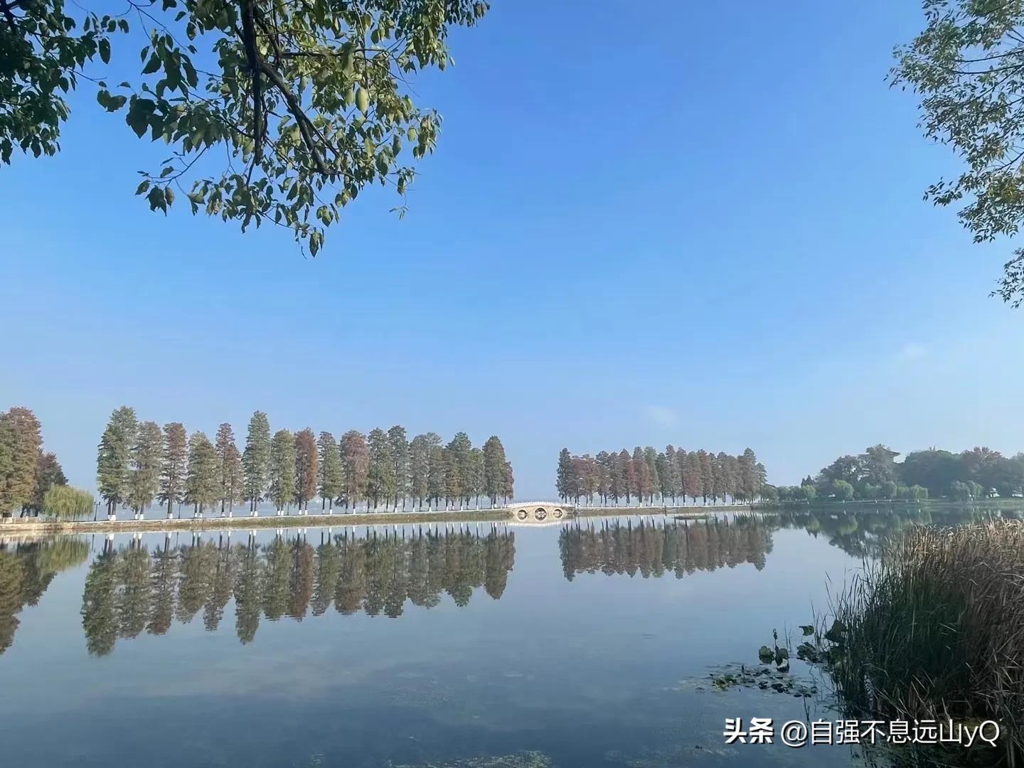 李铁足球生涯最大成就,李铁亚洲杯成绩