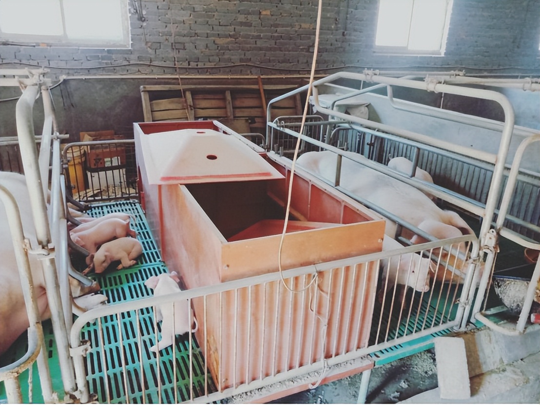 乡村电信建设,电信数字乡村建设思路方案