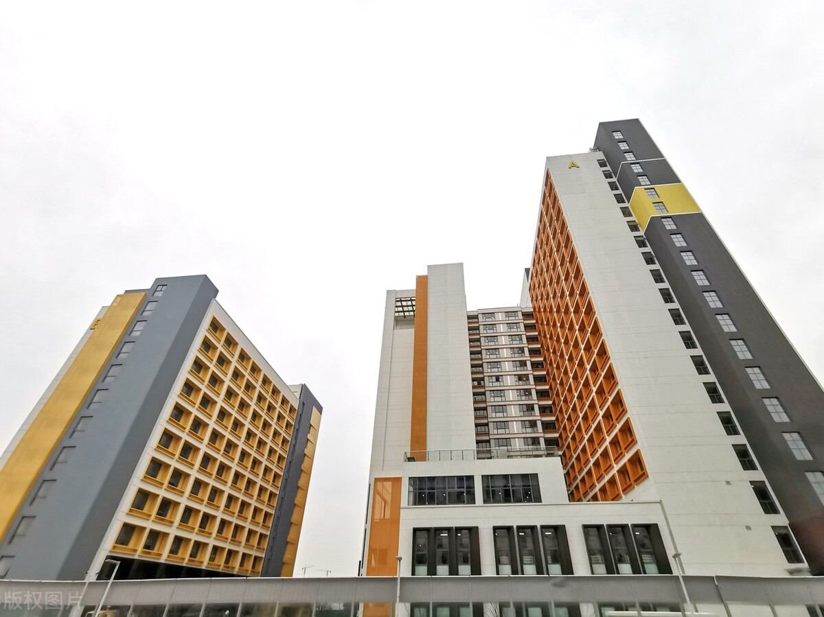 女白领20年不买内衣,女白领13年没买过衣服