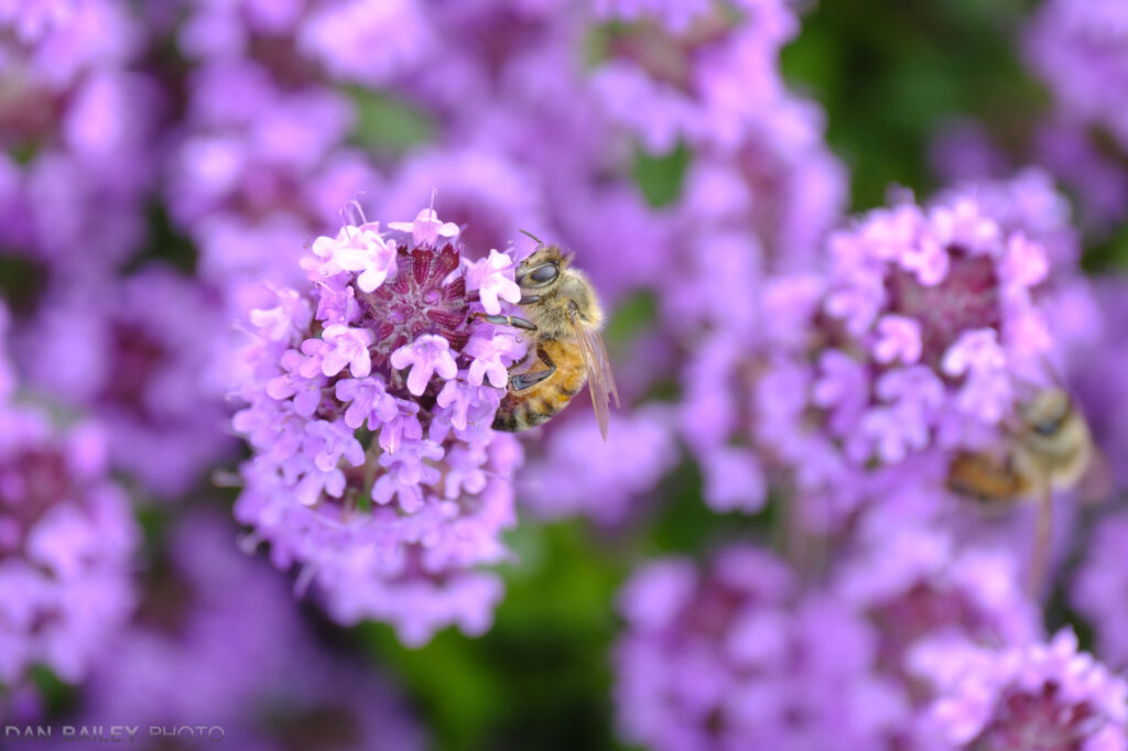 富士xf23mmf1.4镜头参数,富士xf50f2rwr镜头怎么样