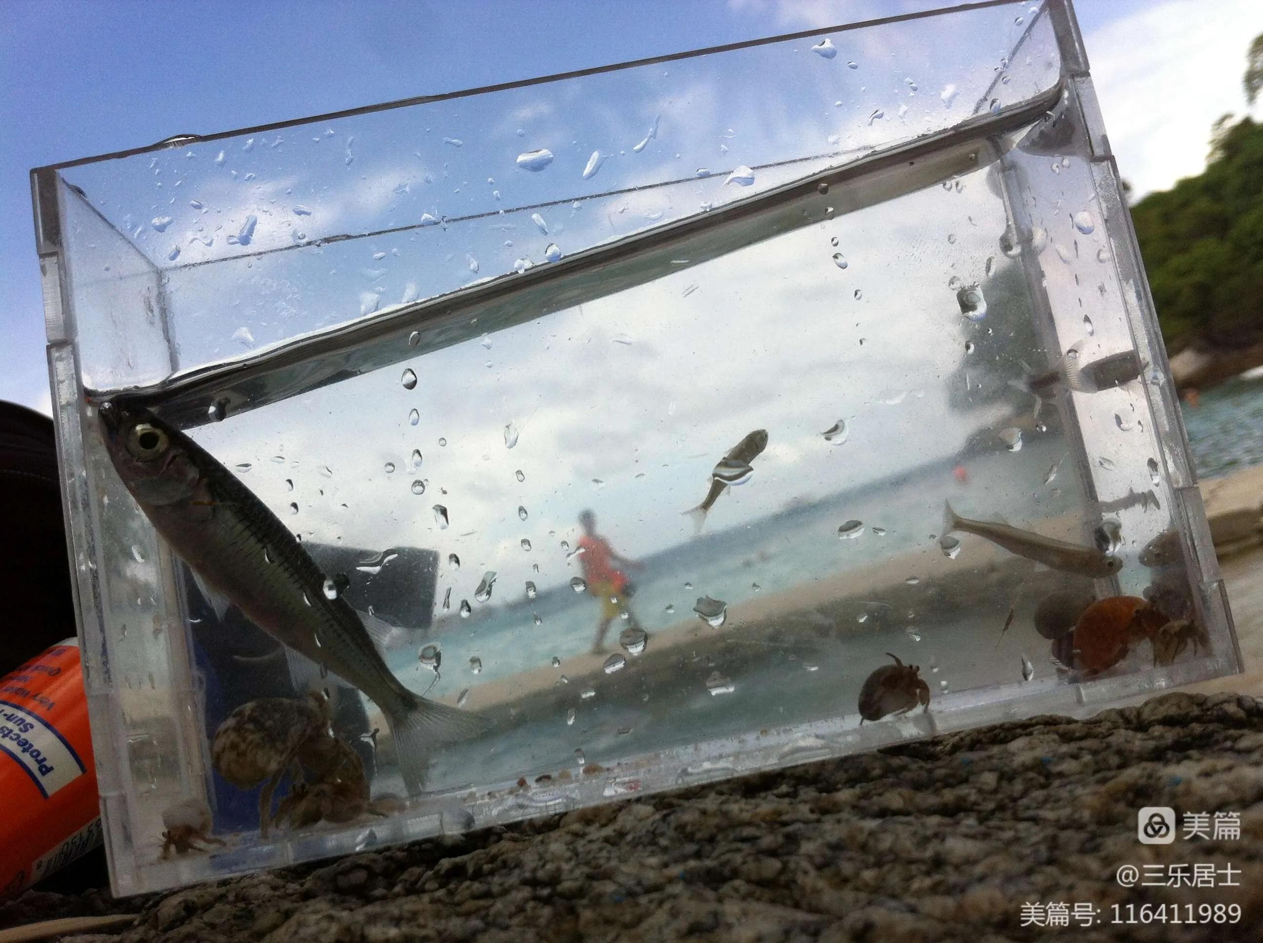 泰国普吉岛旅游攻略贴吧,泰国跟团普吉岛曼谷