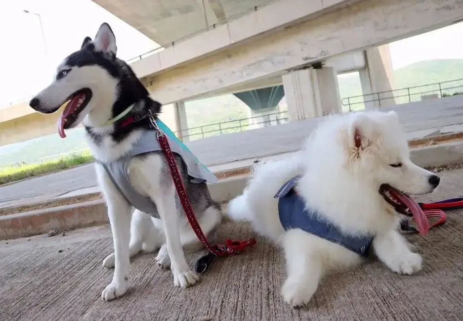 多灾多难，我们的未来还会好吗？