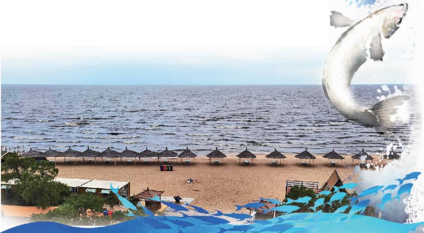 为什么说兴凯湖大白鱼是世界名鱼,兴凯湖大白鱼新鲜美味