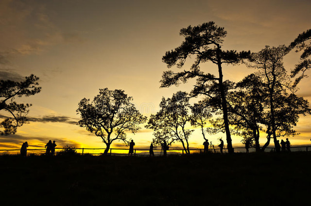 真正的友情有时甚至胜过爱情,友情是一种很难维持的情感