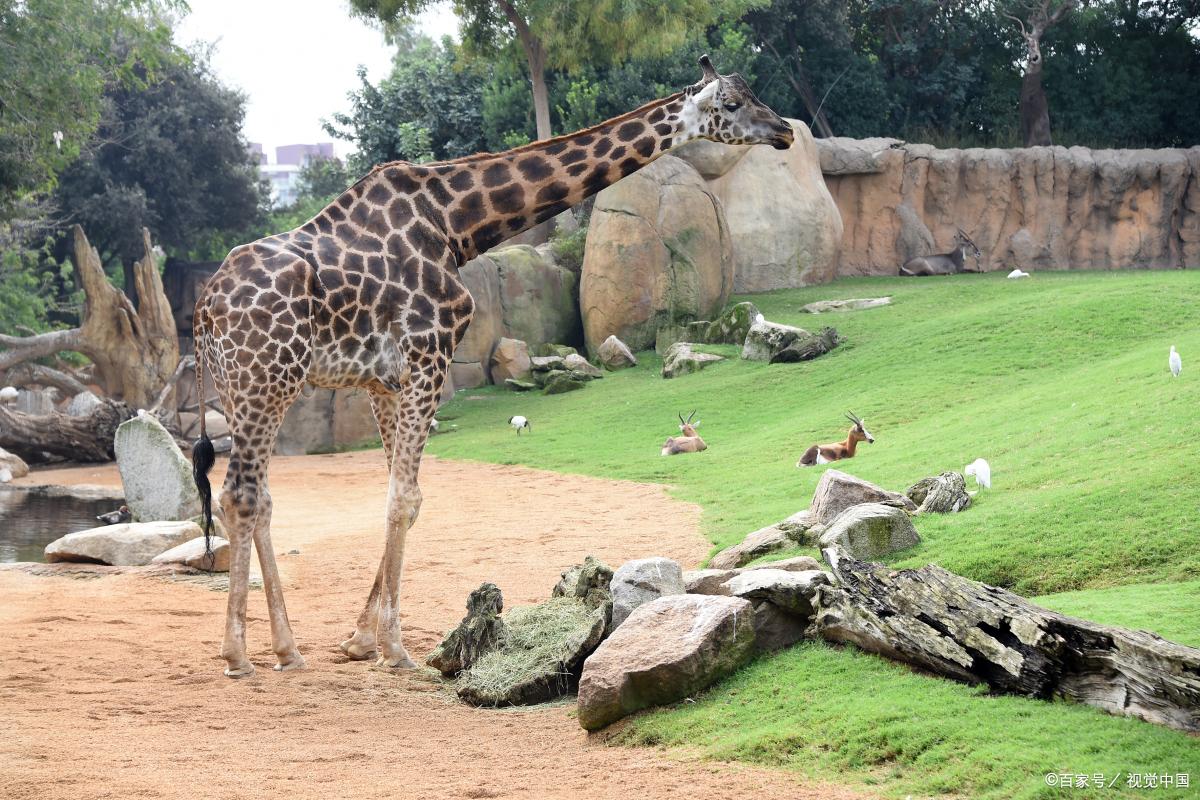济南最受欢迎的景点攻略,济南最值得去的景点推荐一下