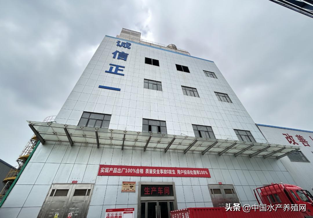 鲈鱼损失惨重,目前鲈鱼掉价的真正原因