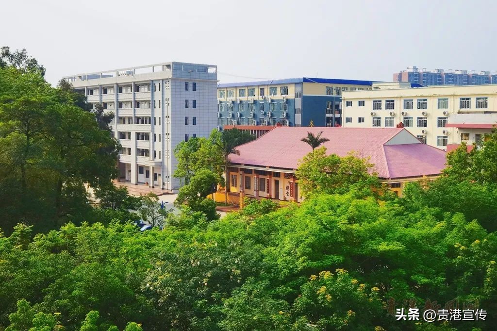 你好大安,大安高中联系方式