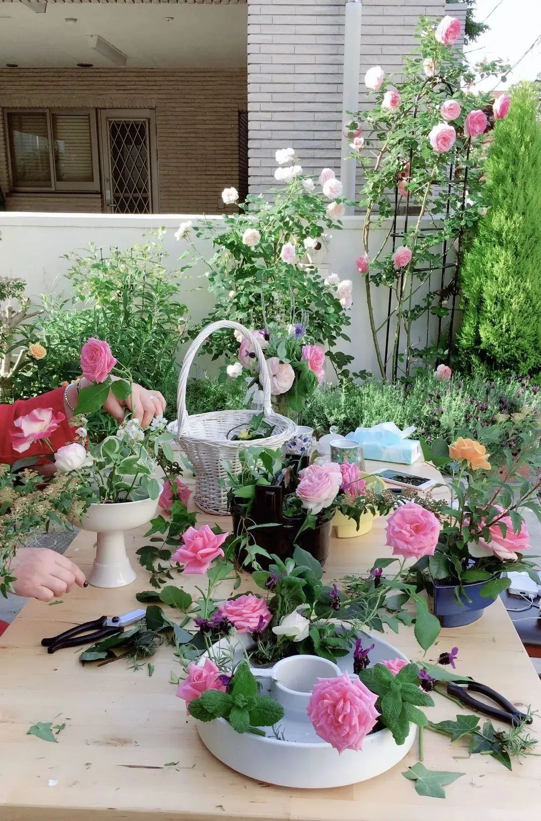 鏃ユ湰绉佷汉鏈堝鑺卞洯搴櫌,鎴戝湪鏃ユ湰