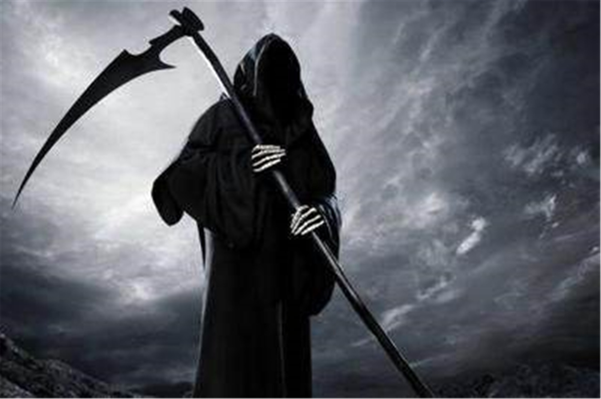 14本已完结巫师流小说，系统流+芯片流+魔药流，无尽瑰丽的世界