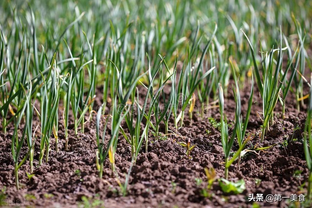 三月龄宝宝日常护理,春天该如何调理肠胃功能