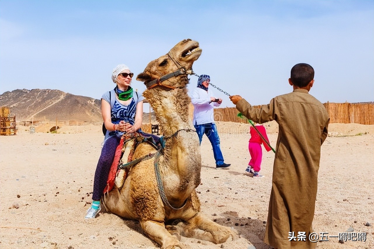 分享赚钱副业靠谱吗,分享赚钱兼职任务