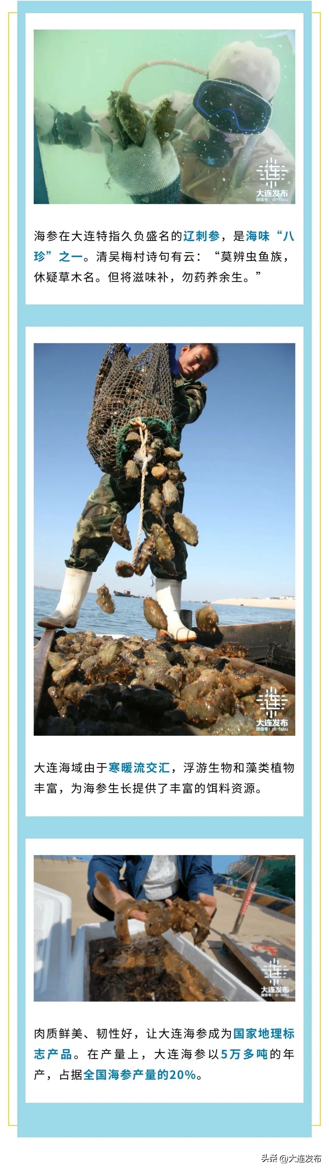 实现海鲜自由的秘诀,实现海鲜自由另一种说法