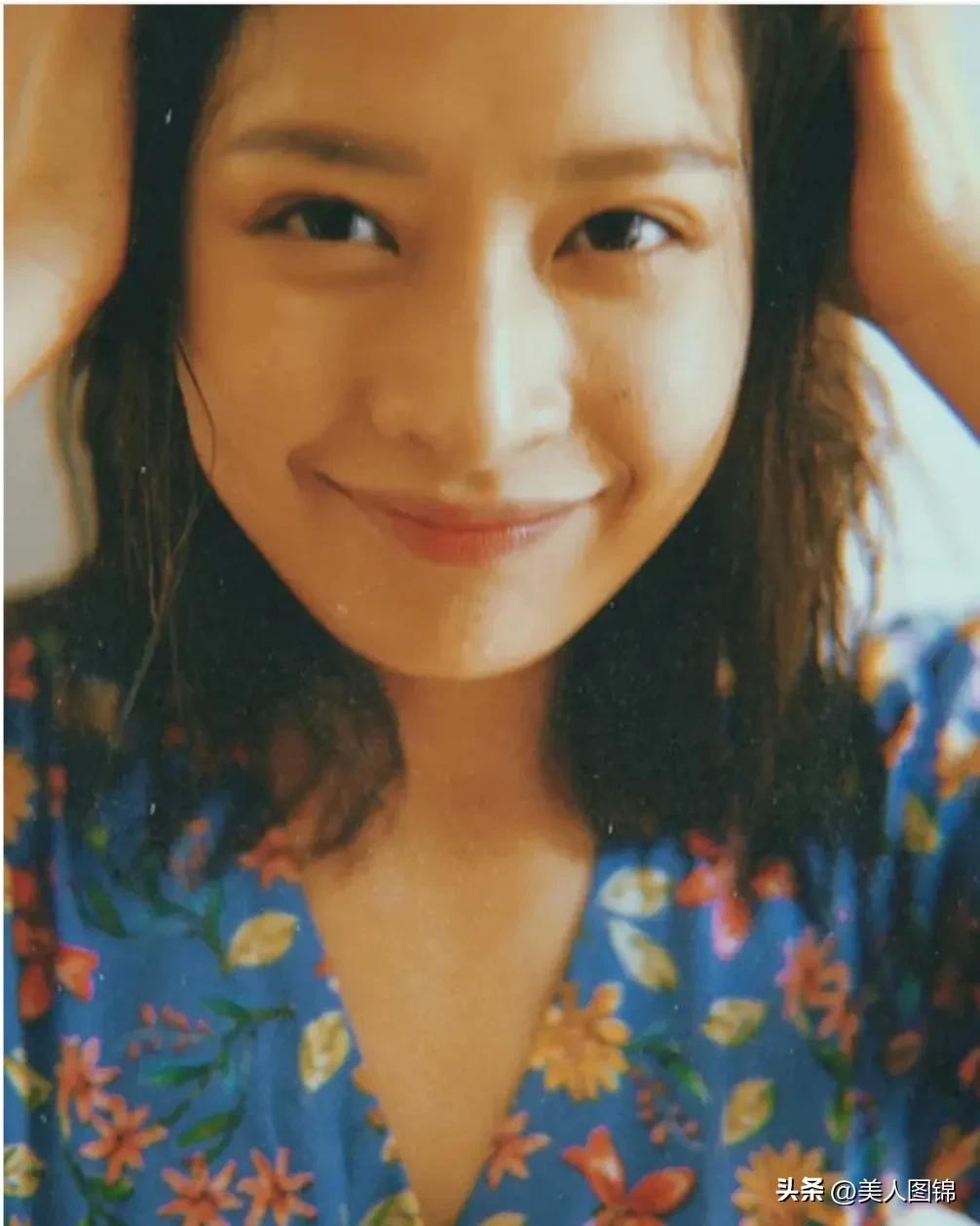 越南芝芙,芝芙越南