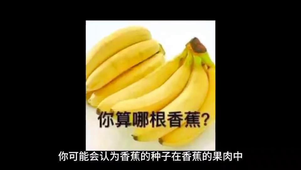 dou知识,都是知识表情包