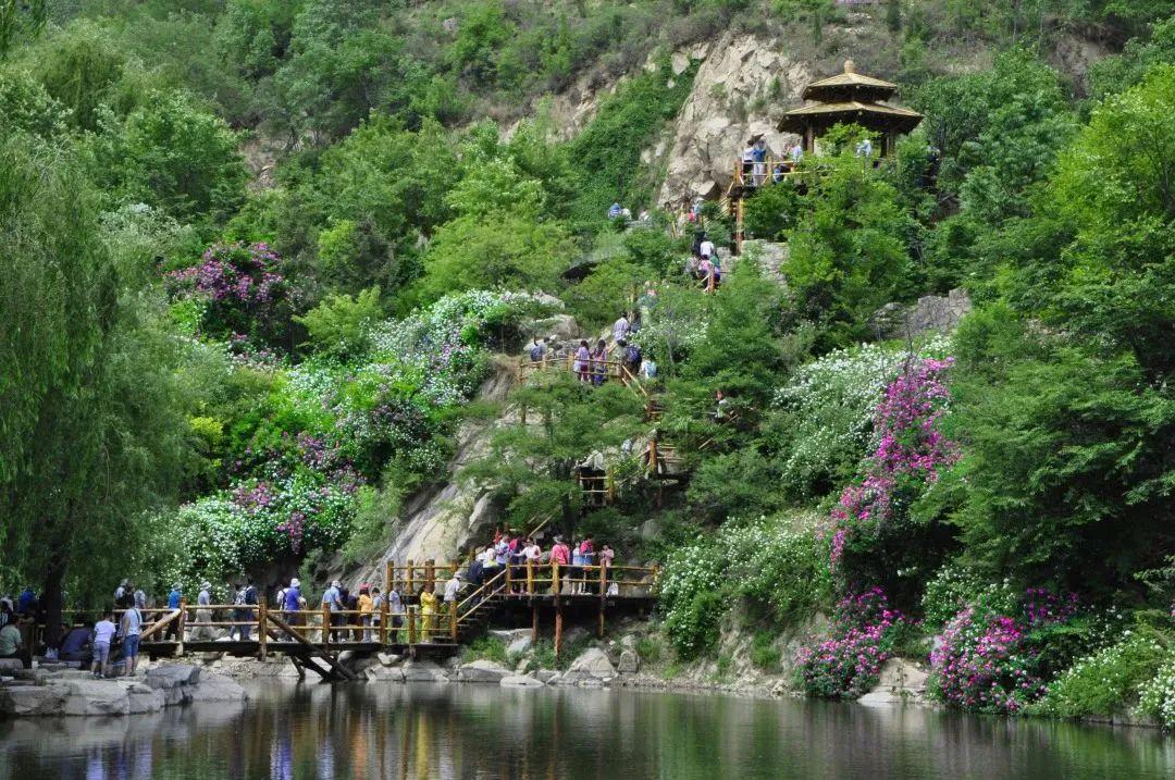 济南旅游公交专线有哪些 (济南近郊公交直达的游玩场所)