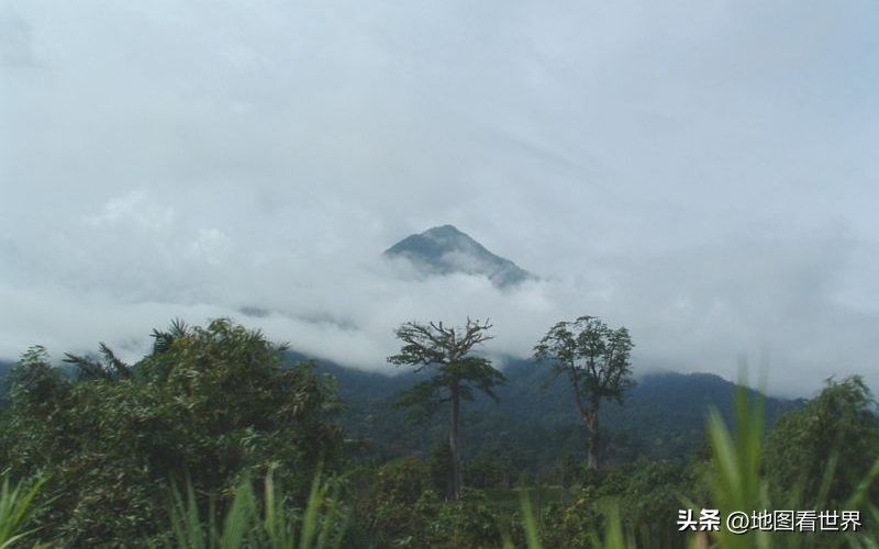 喀麦隆2022世界杯所有比赛,喀麦隆历届世界杯首战