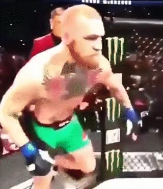 最新嘴炮康纳麦格雷戈格斗视频,康纳·麦格雷戈的故事