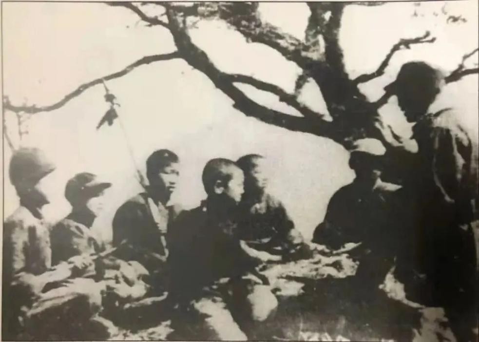 一年级少先队队名和口号大全图片,少先队云队课我们在一起