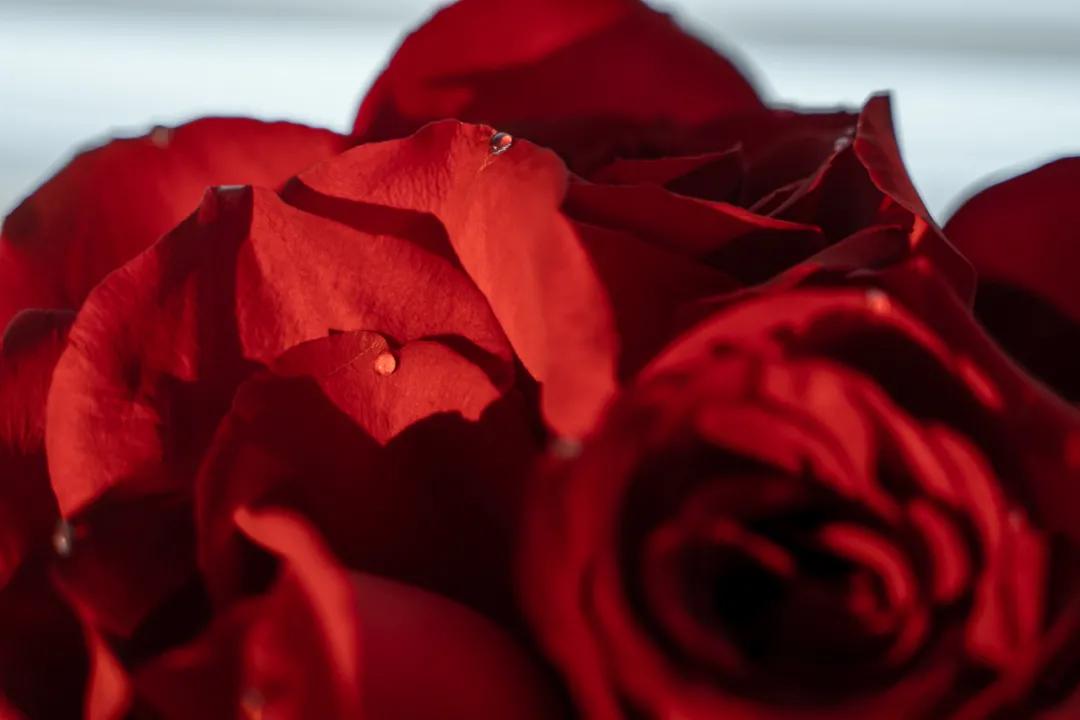 适合做情人节的蛋糕,情人节爆浆蛋糕