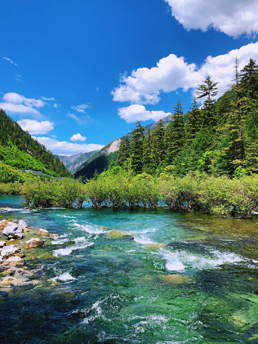 去阿坝州过完了春夏秋冬,阿坝州夏天去还是秋冬去