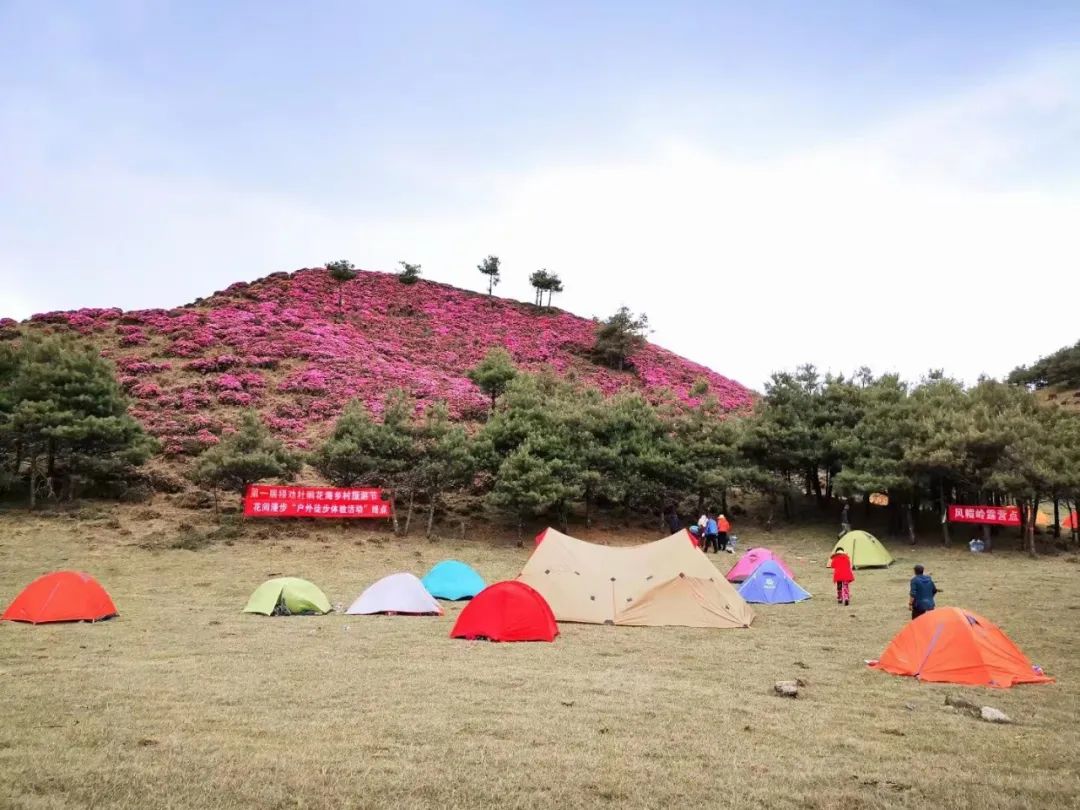 【轿子山文化旅游节】云南·禄劝2023年轿子山文化旅游节最全攻略来啦（图文版）！