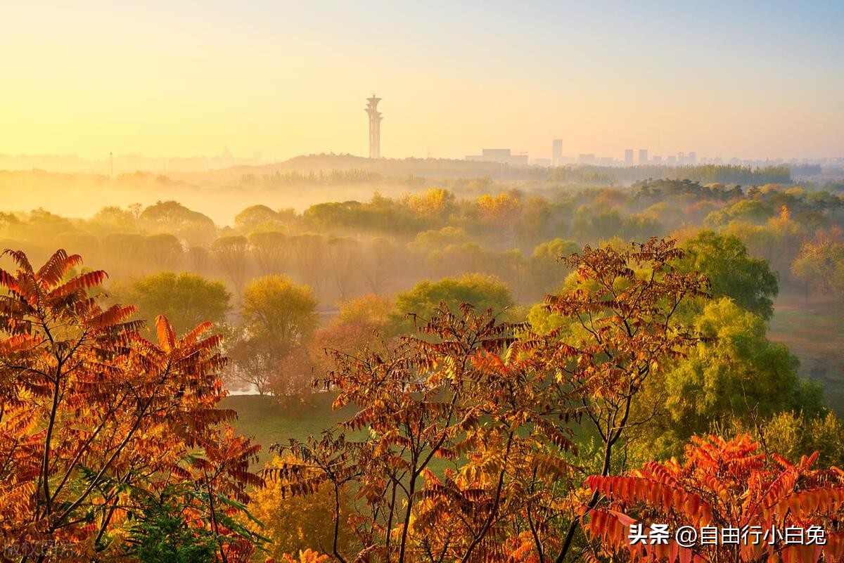 北京奥林匹克公园游览攻略视频,北京奥林匹克公园门票多少钱