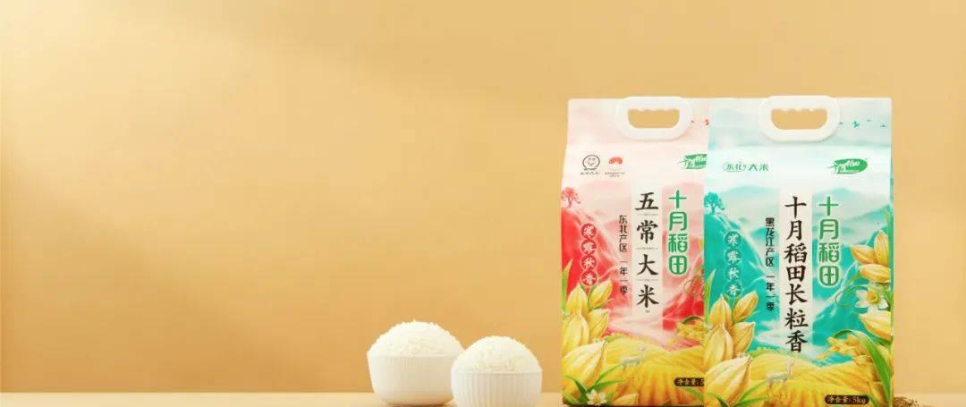 水稻秘密大调查表格,稻田未解之谜视频