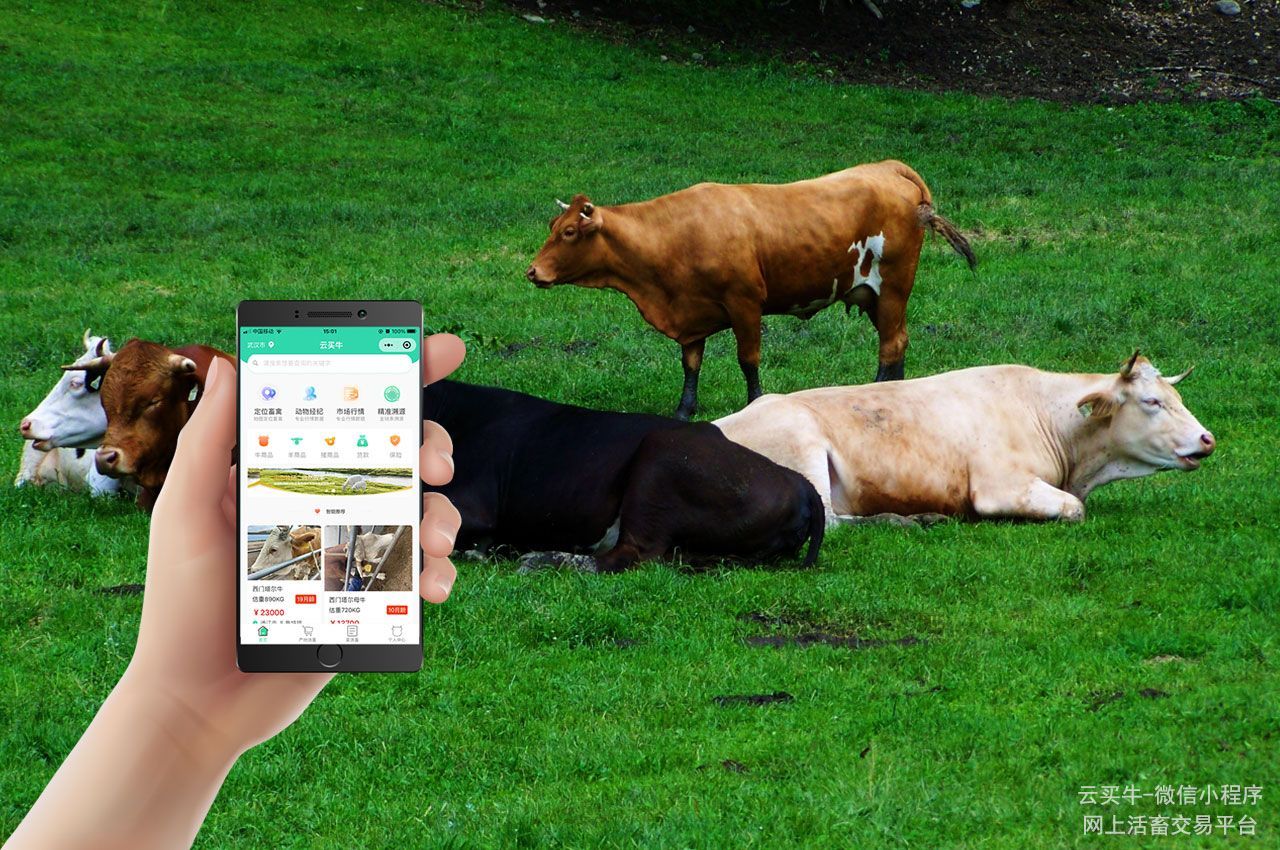 浜掕仈缃戝崠鐗涚殑鏂规硶,鐩存挱娲荤墰浜ゆ槗