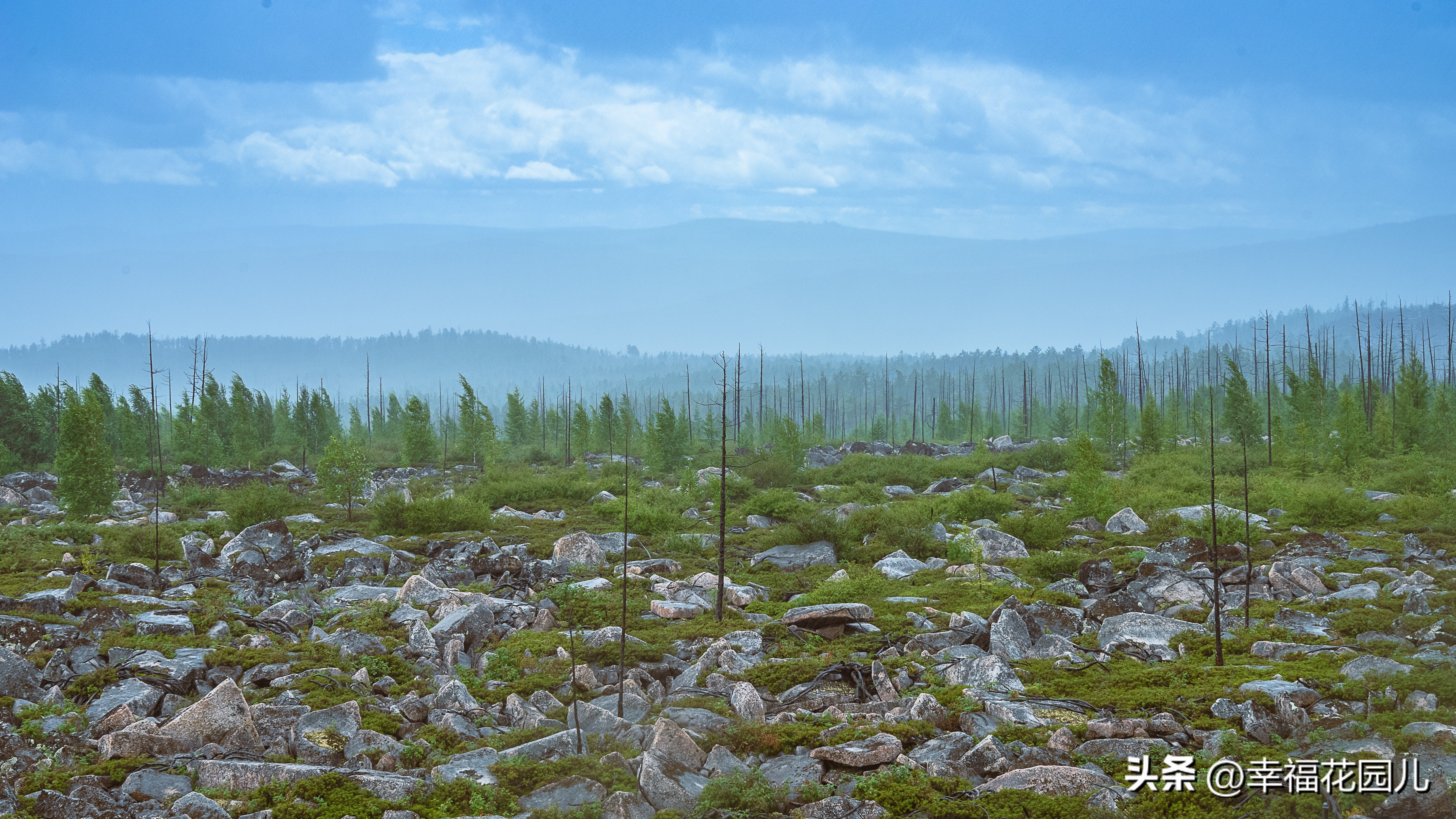 寻北之旅长白山,漠河地质公园