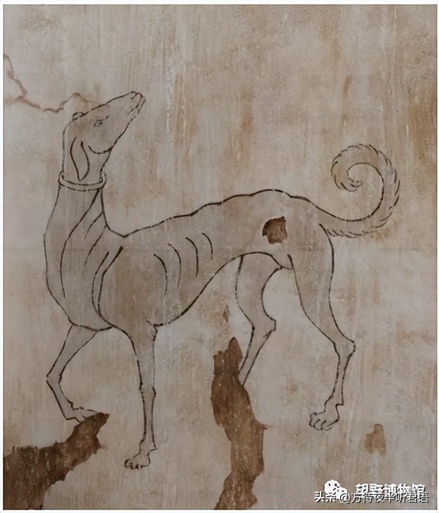 哮天犬和二郎神不得不说的故事,哮天犬二郎神前世今生