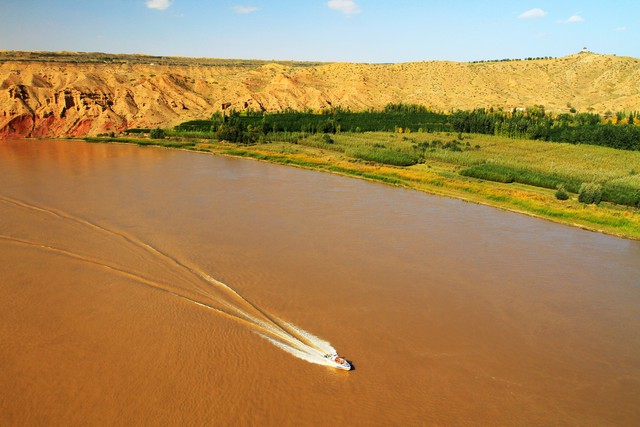 正宗宁夏红枸杞风景,宁夏红色枸杞
