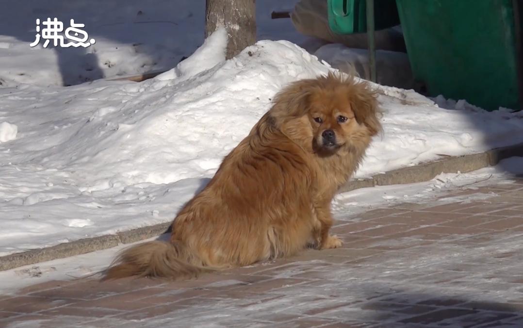 当我想起你的时候歌单,当我想起你的时候嘴角上扬