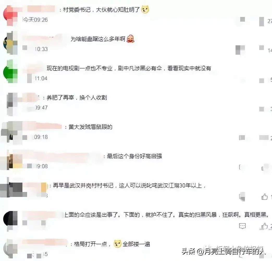 武汉黄大发黑恶势力狗仗人势作孽：另类畜生叫腐败分子