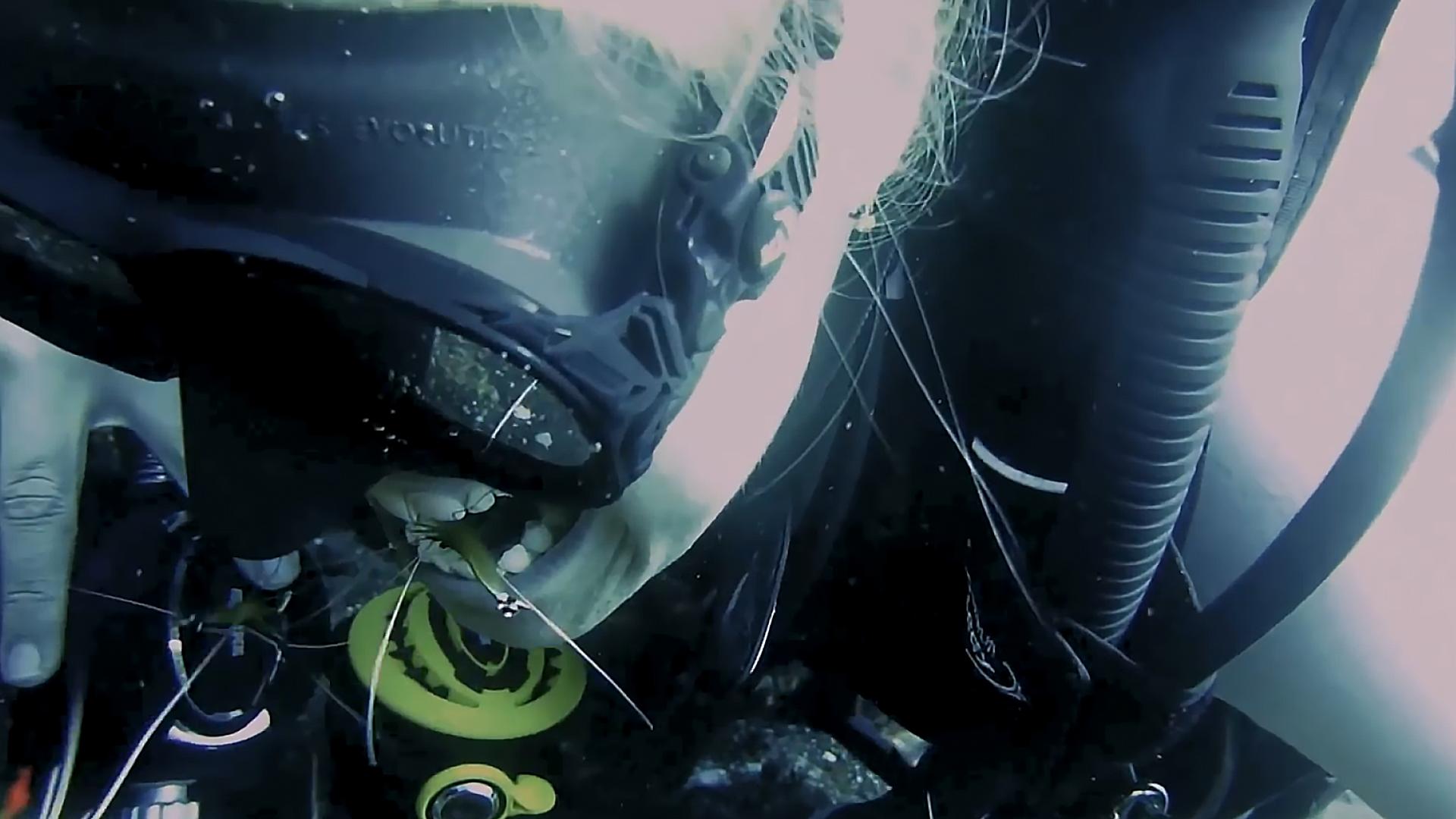 足疗小鱼真的吃死皮吗,足疗店的小鱼能吃吗