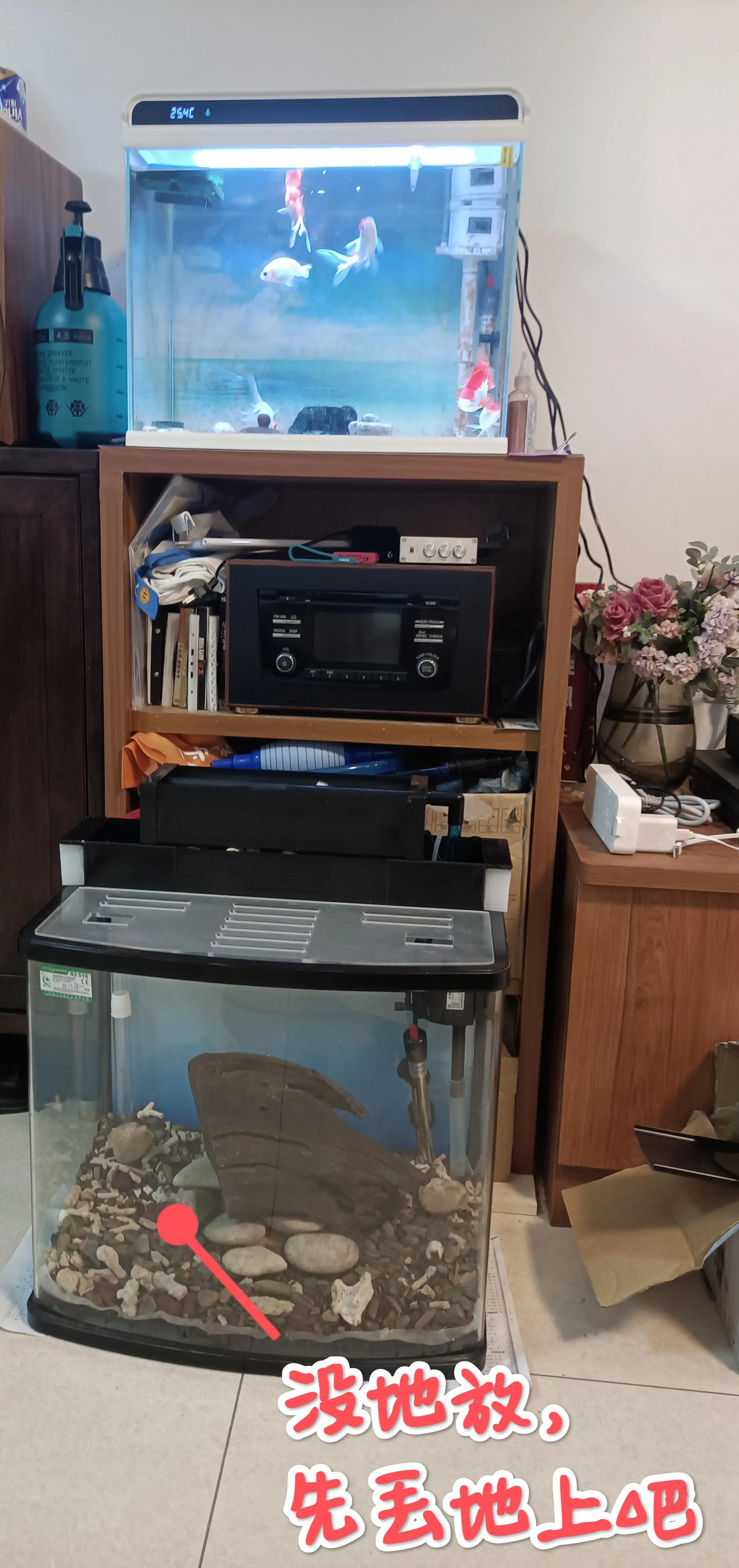 闽江溪流鱼缸,溪流缸自制鱼缸全部过程