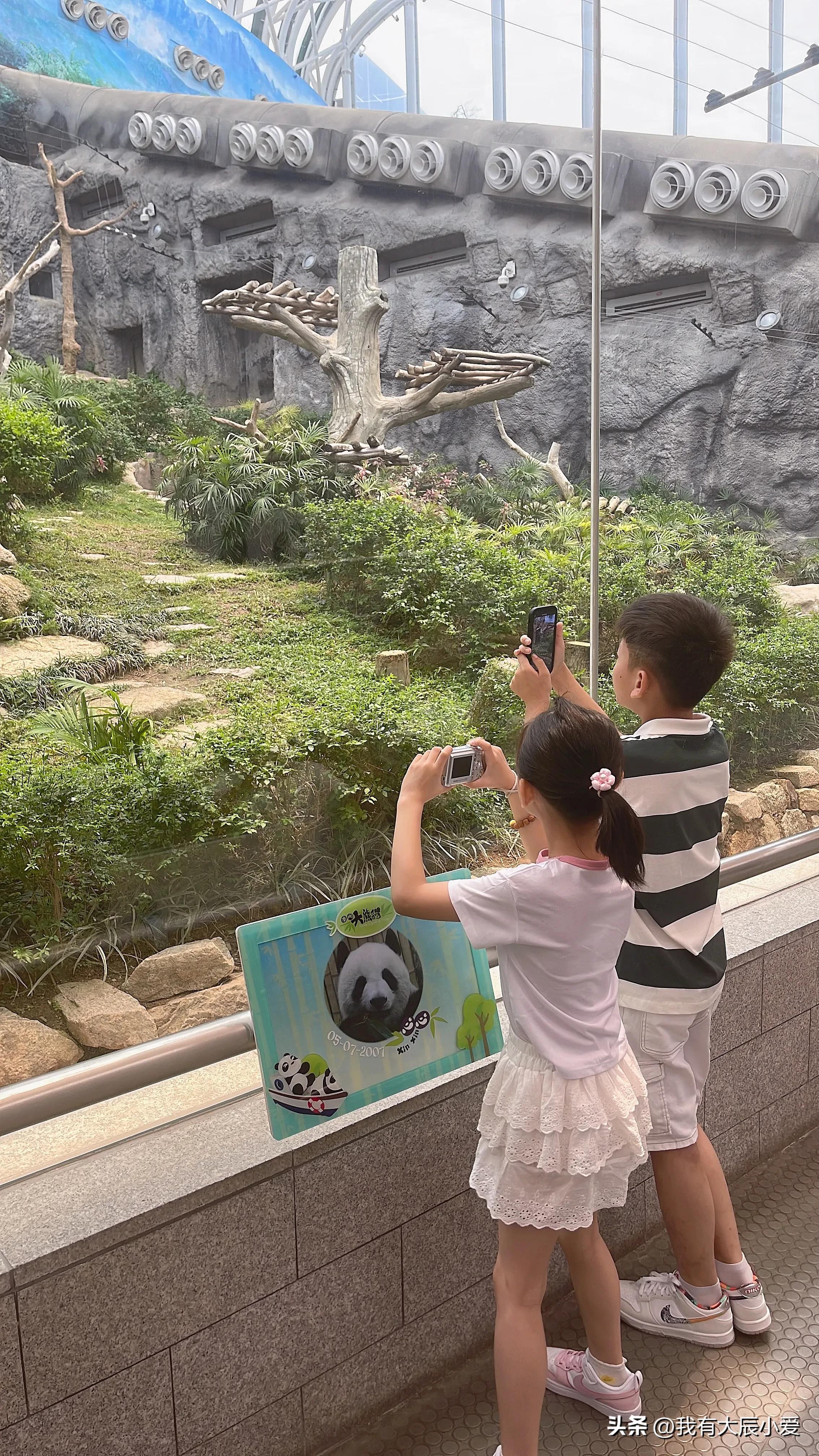 去澳门带小孩攻略,带娃去澳门好玩吗