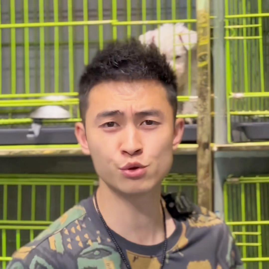 狗市上的小狗千万不要去碰!新手养狗如果连这个都不知道,...