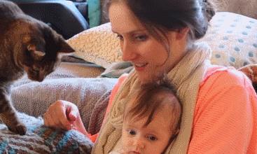 猫咪为什么喜欢趴在孕妇的肚子上,为什么猫咪喜欢在孕妇肚子上睡觉