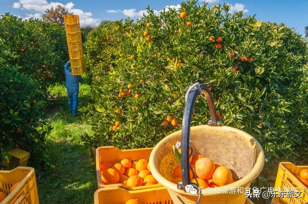 到海南乐东旅游攻略,乐东出发一日游