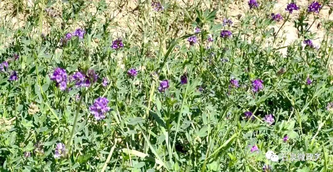 铻嶅獟缇庢櫙,铻嶅獟鏃呮父