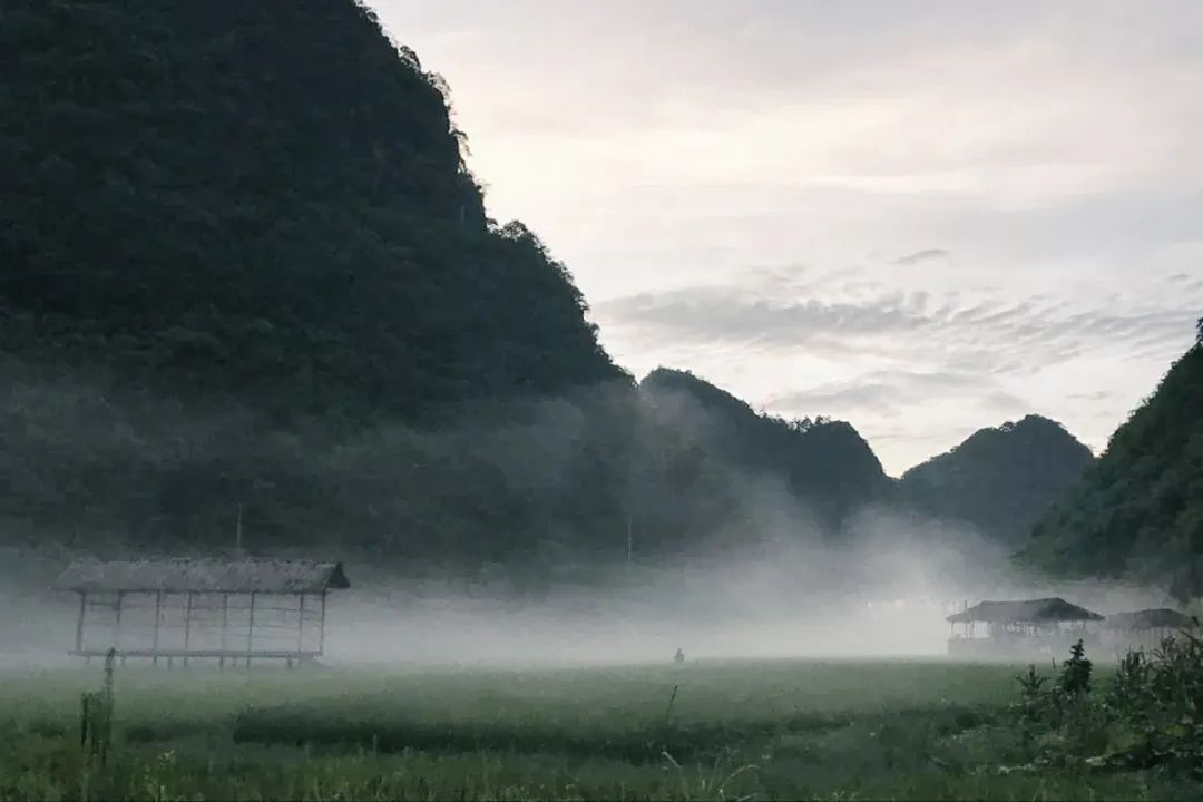 他在贵州租下200亩山谷，95后纷纷投奔：过不花钱的日子，很快乐